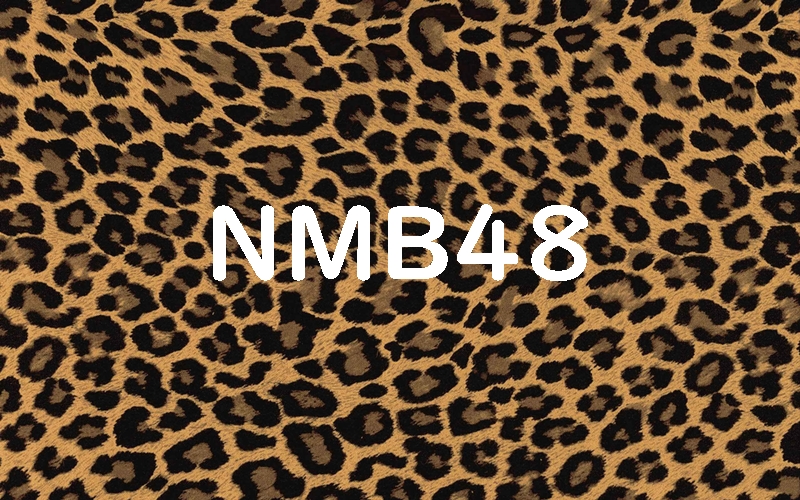 Nmb48で一番可愛い 美人なメンバーは誰 Nmbルックスランキング ランキングマニア